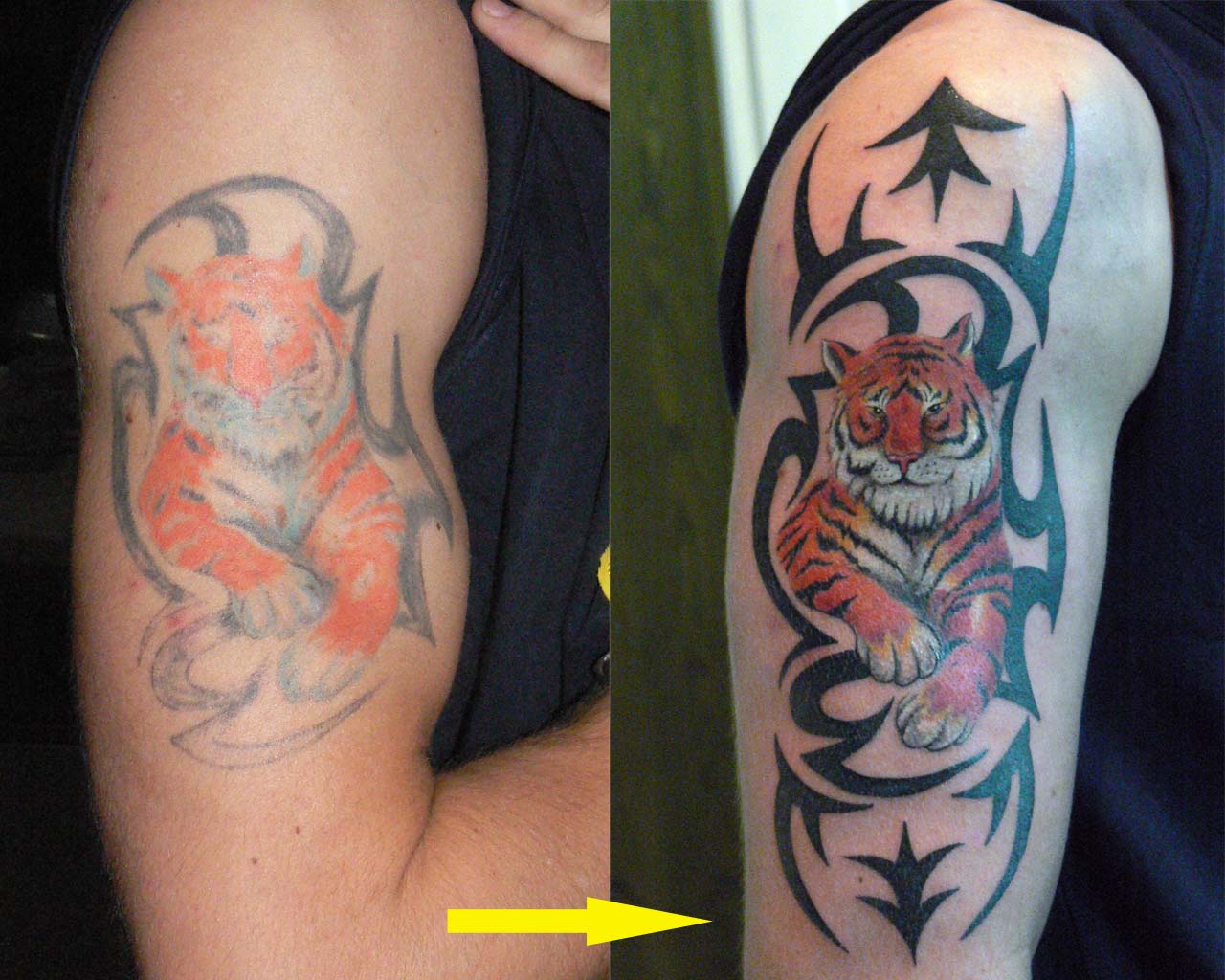 tiger tattoos desings tiger tattoos desings