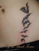 Dreamtattoo Kadık�y İstanbul Aslan