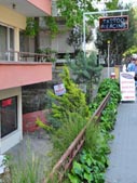 Dreamtattoo Ba�dat Caddesi �stanbul St�dyo